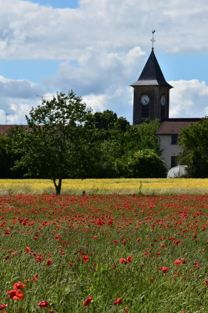 Bergerie Francique Lachaussee Exterior foto